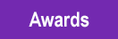 Team Awards Button